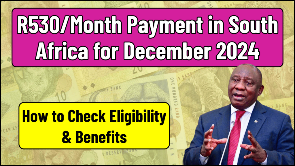 R530/Month Payment in South Africa for December 2024